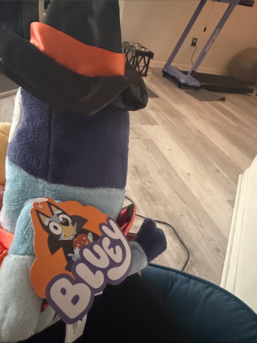 Bingo & Bluey Halloween stuffed toys sold either together $15 or individually $7 - Picture 2 of 3